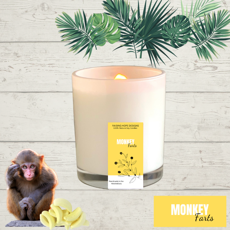 Monkey Farts Soy Wax Candle